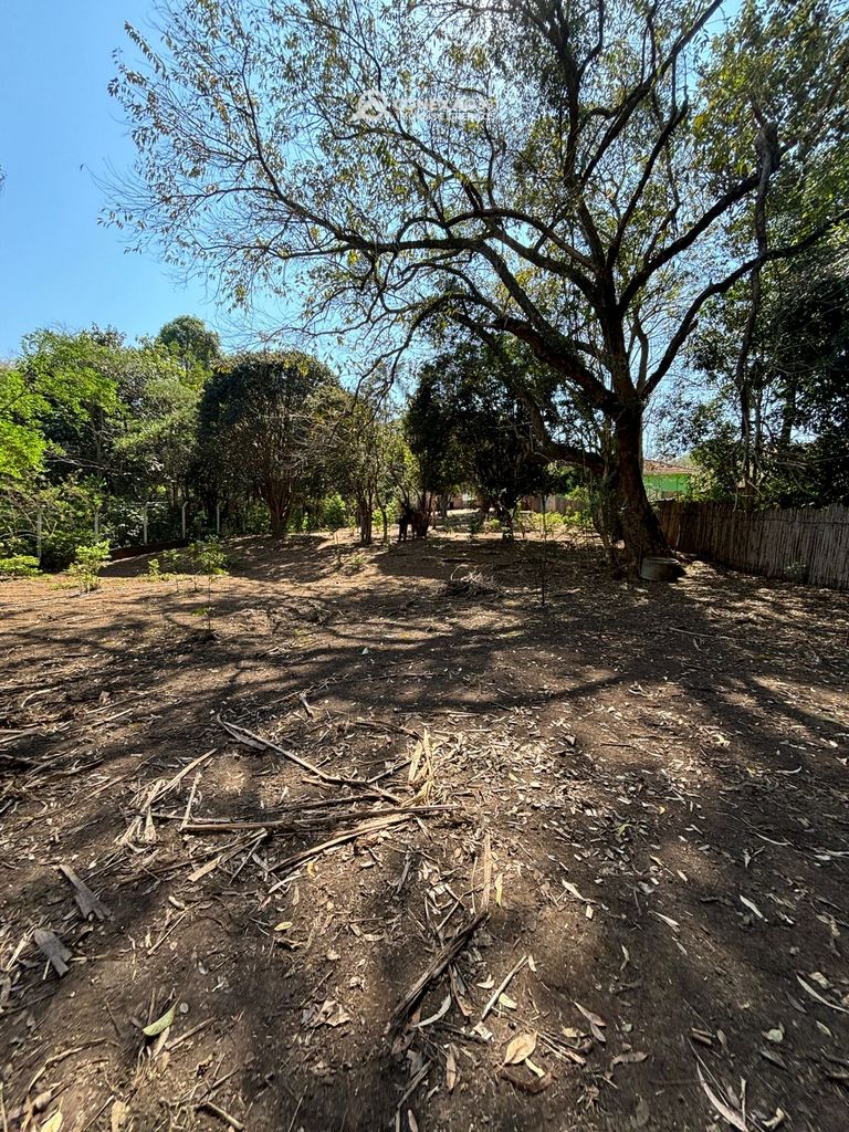 Chácara à venda em Cambuí, MG — foto 16