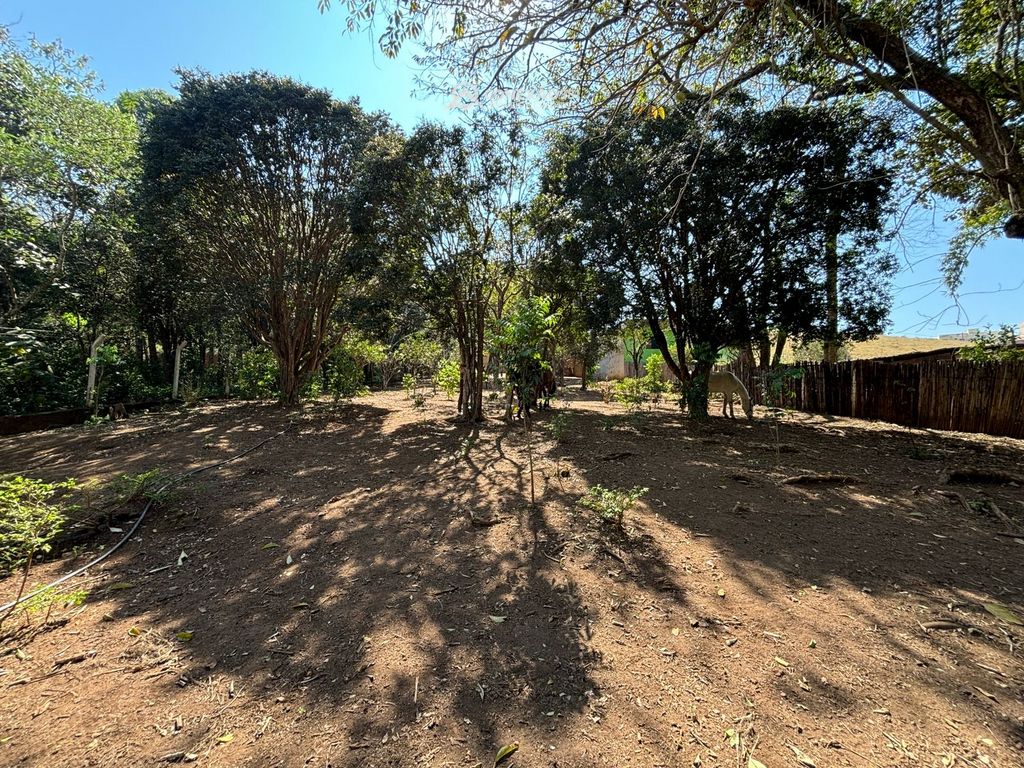 Chácara à venda em Cambuí, MG — foto 17