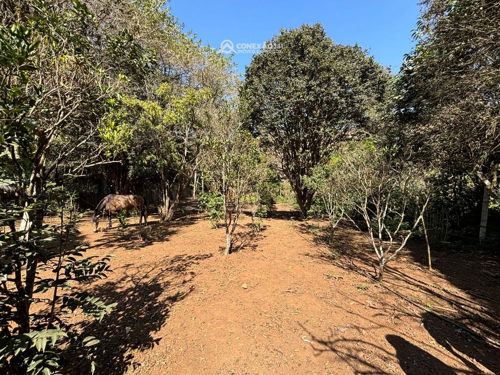 Chácara à venda em Cambuí, MG — foto 19