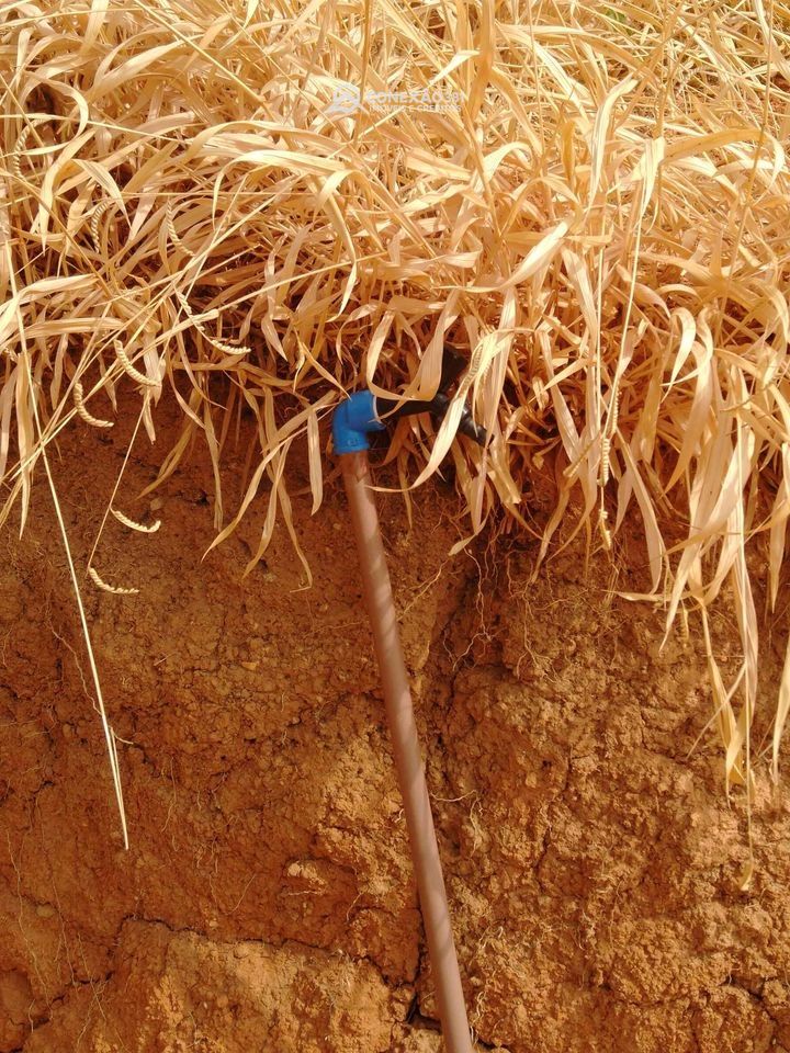 Terreno rural à venda em Córrego Bom Jesus, MG — foto 7