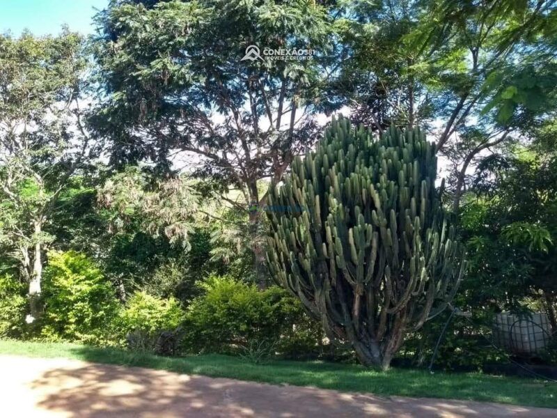 Chácara à venda em Cambuí, MG — foto 32