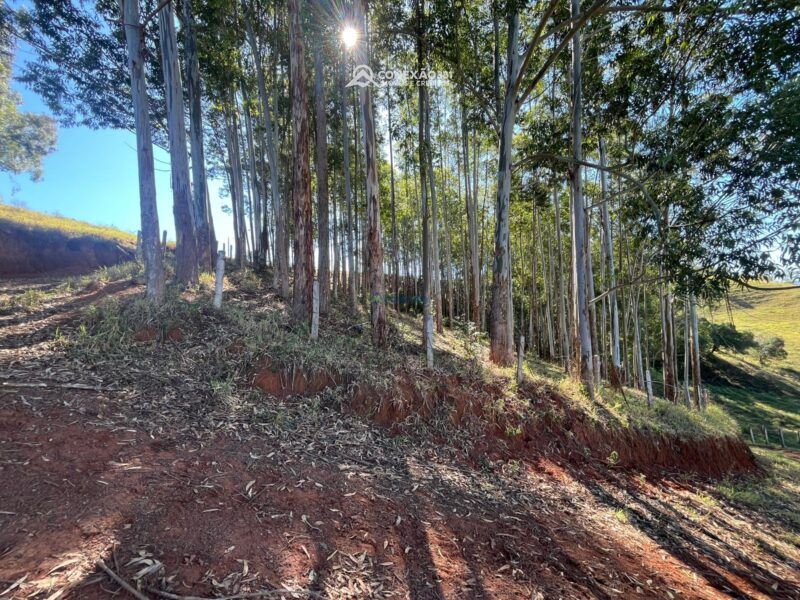 Terreno à venda em Cambuí, MG — foto 7