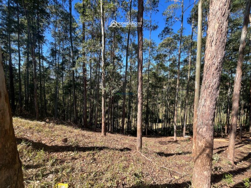 Terreno à venda em Cambuí, MG — foto 10