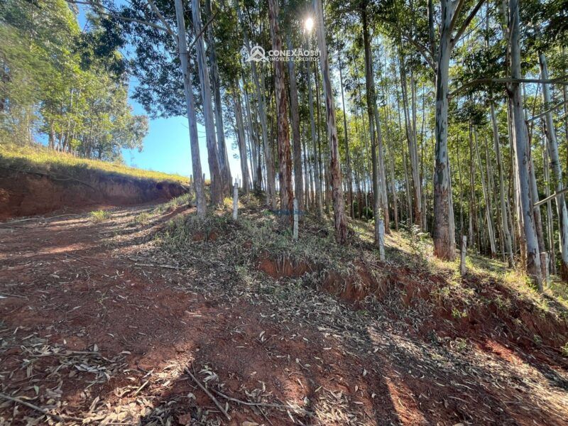 Terreno à venda em Cambuí, MG — foto 13