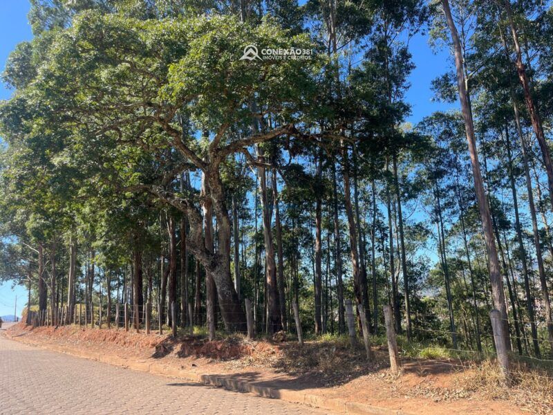 Terreno à venda em Cambuí, MG — foto 17