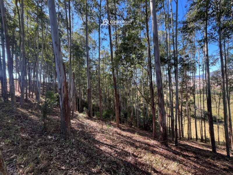 Terreno à venda em Cambuí, MG — foto 18