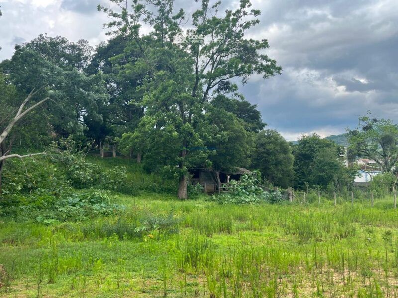 Lote urbano à venda no centro do Córrego do Bom Jesus, MG — foto 7