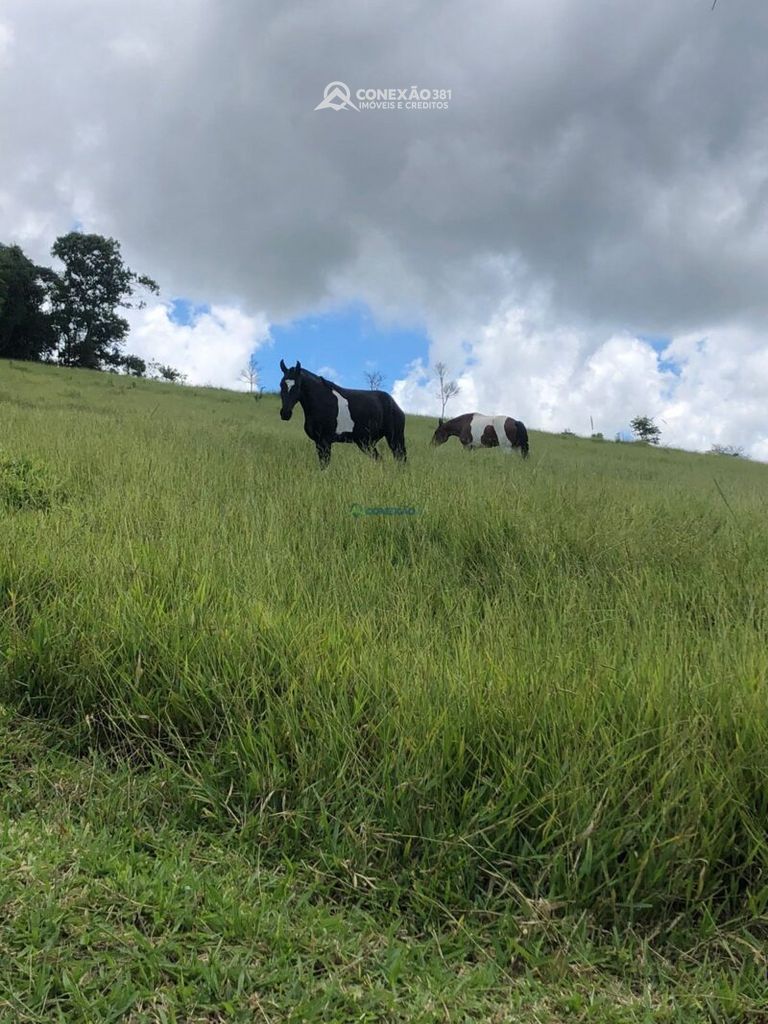 Sítio à venda em Senador Amaral, MG — foto 15