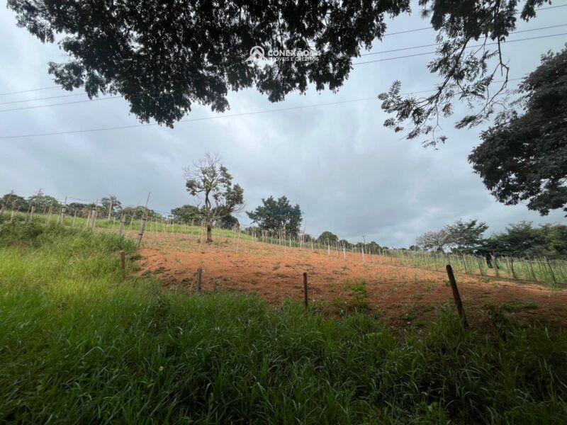 Terreno Rural à venda em Cambuí, MG — foto 5