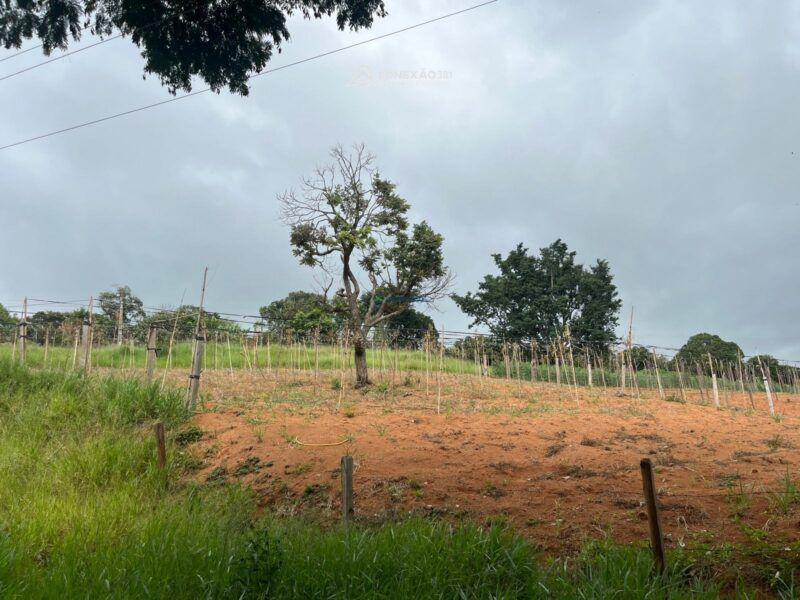 Terreno Rural à venda em Cambuí, MG — foto 4