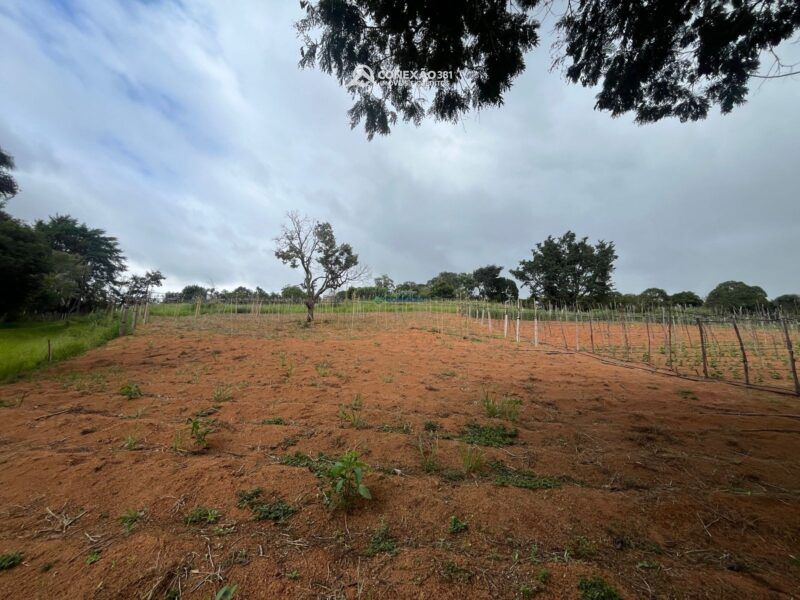 Terreno Rural à venda em Cambuí, MG — foto 7