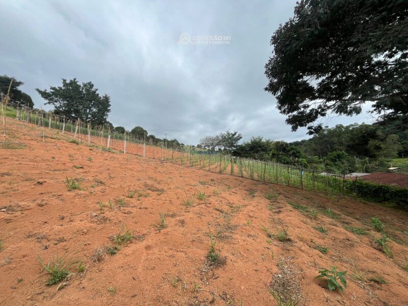 Terreno Rural à venda em Cambuí, MG — foto 6