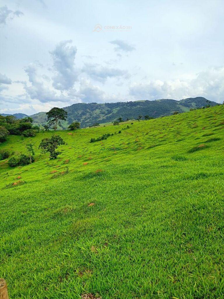 Terreno rural à venda em Cambuí, MG — foto 5