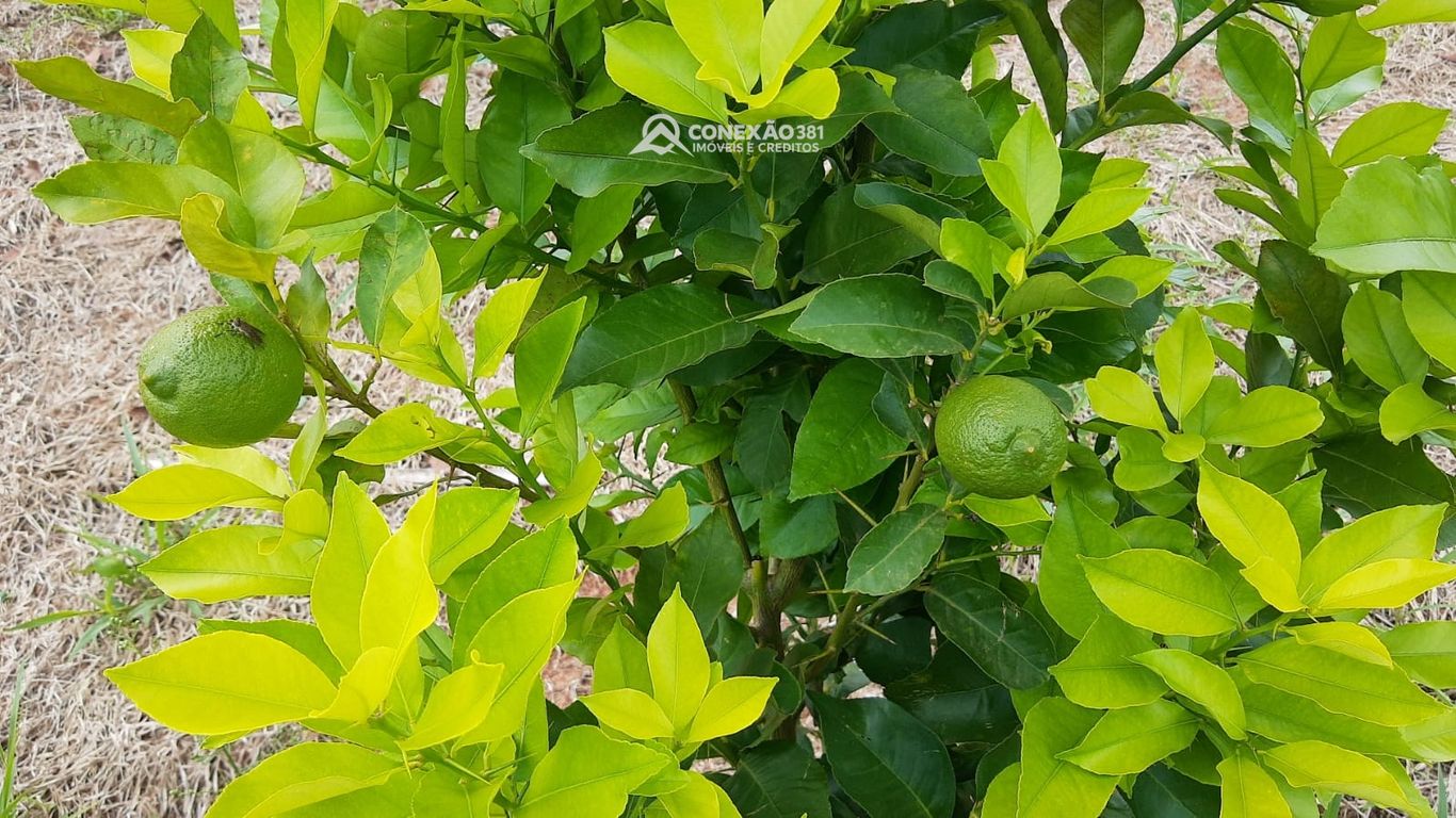 Chácara à venda em Cambuí, MG — foto 115