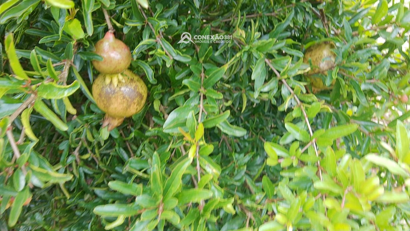 Chácara à venda em Cambuí, MG — foto 120