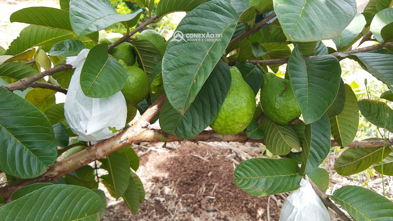 Chácara à venda em Cambuí, MG — foto 122