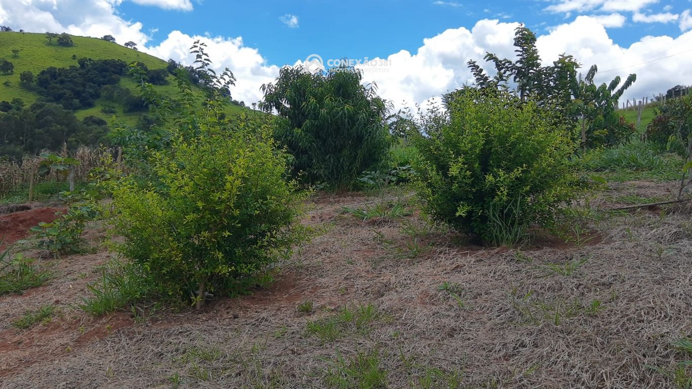 Chácara à venda em Cambuí, MG — foto 140