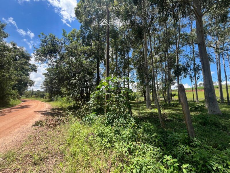 Terrenos Rurais à venda em Bom Repouso, MG — foto 4