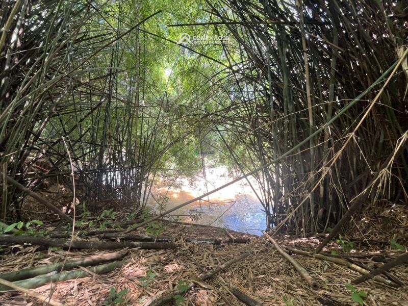 Terrenos Rurais à venda em Bom Repouso, MG — foto 4