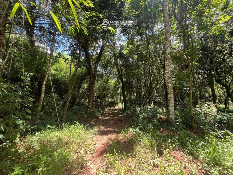 Terrenos Rurais à venda em Bom Repouso, MG — foto 8