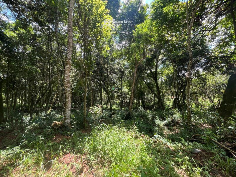 Terrenos Rurais à venda em Bom Repouso, MG — foto 7