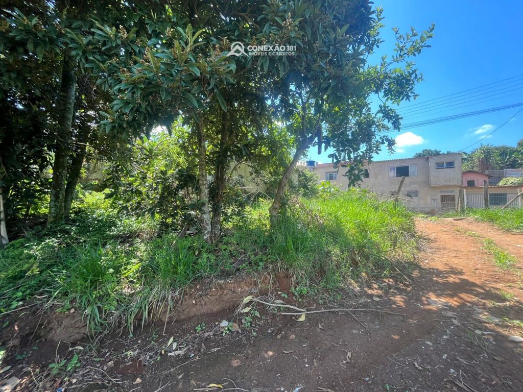 Terreno à venda em Cambuí, MG — foto 5