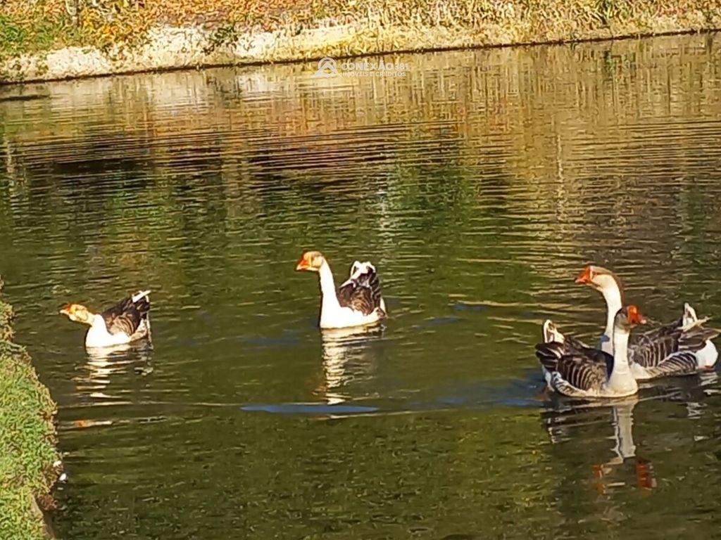 Sítio à venda em Bom Repouso, MG — foto 12