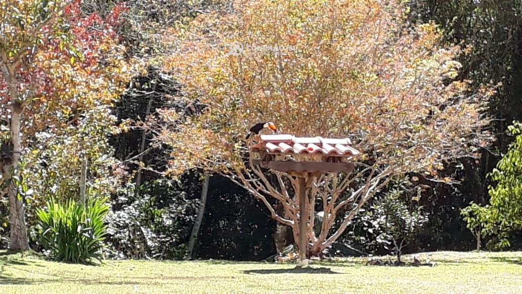 Sítio à venda em Bom Repouso, MG — foto 19