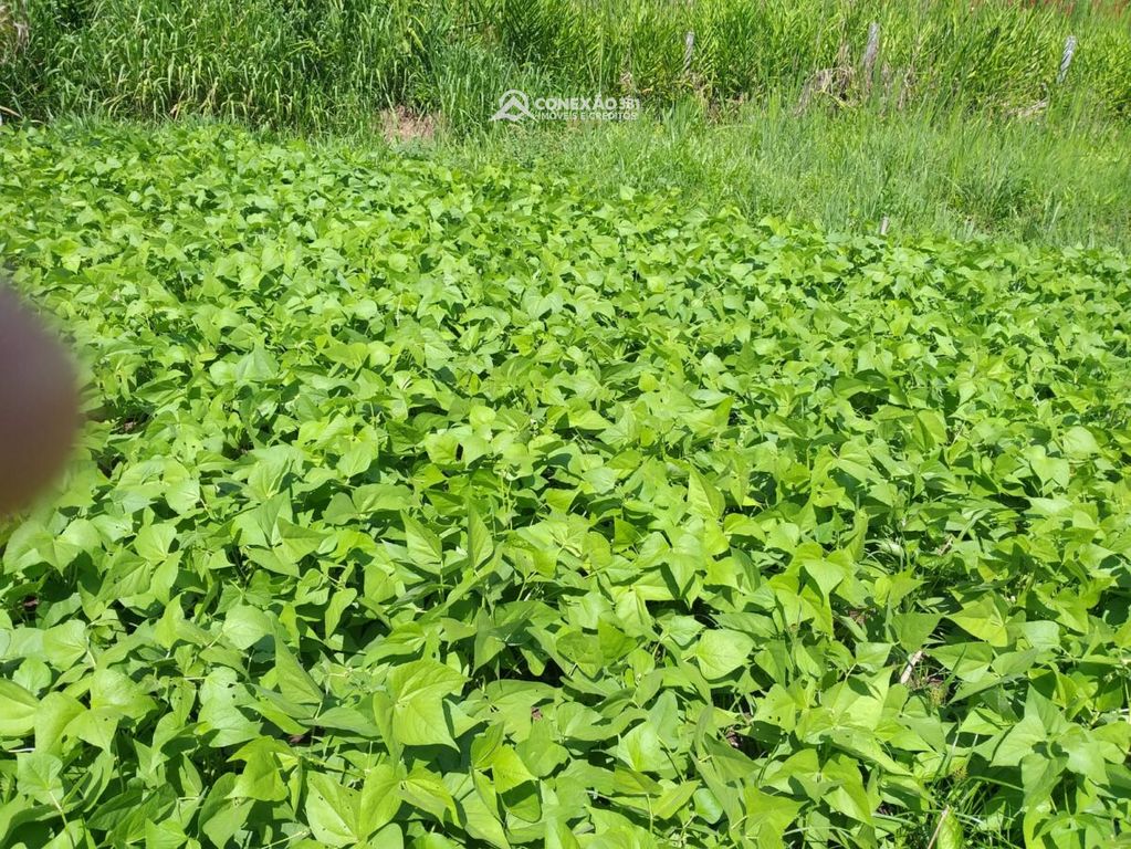 Sítio à venda em Bom Repouso, MG — foto 24