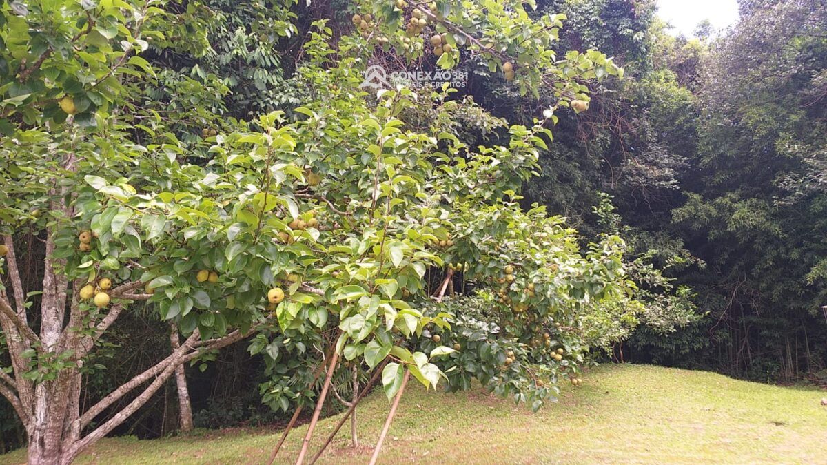 Sítio à venda em Bom Repouso, MG — foto 28