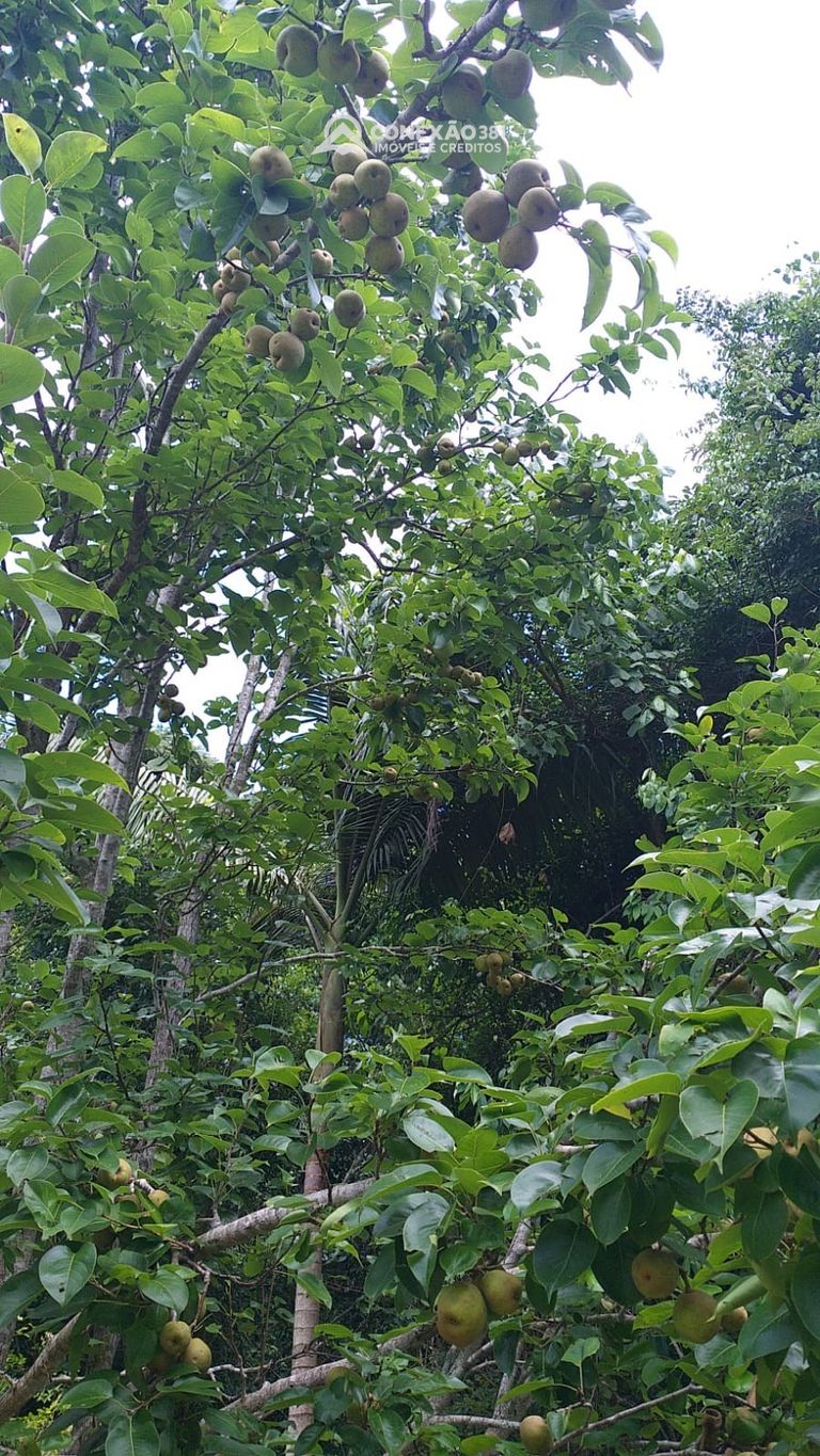 Sítio à venda em Bom Repouso, MG — foto 30