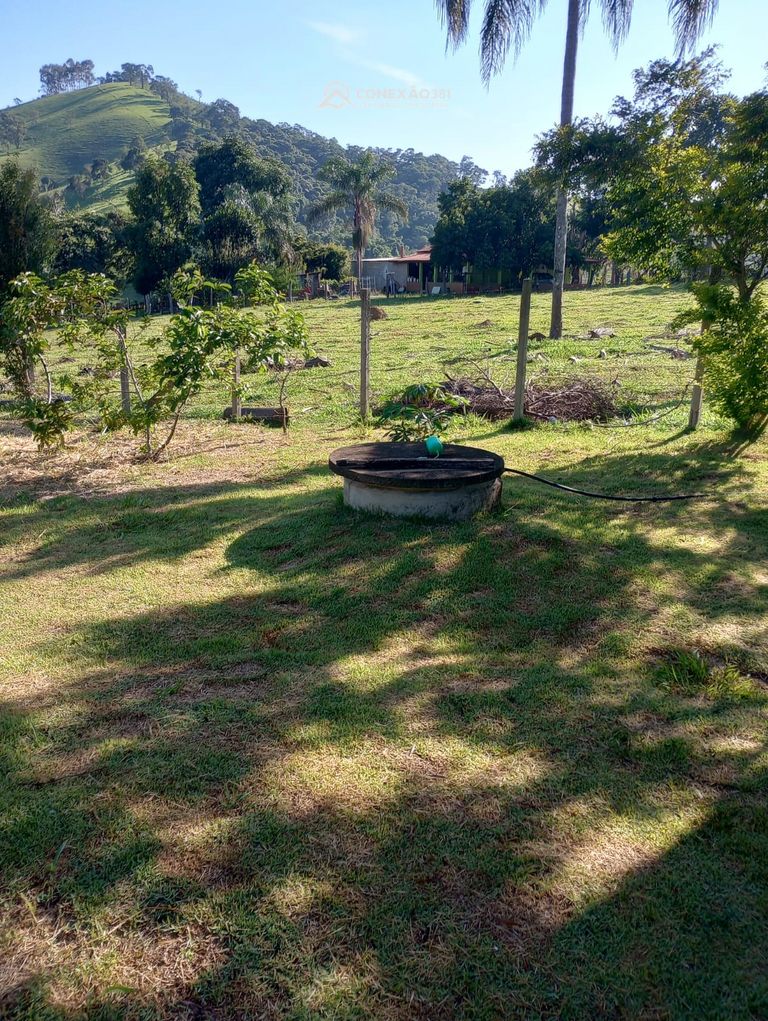 Chácara à venda em Cambuí, MG — foto 28
