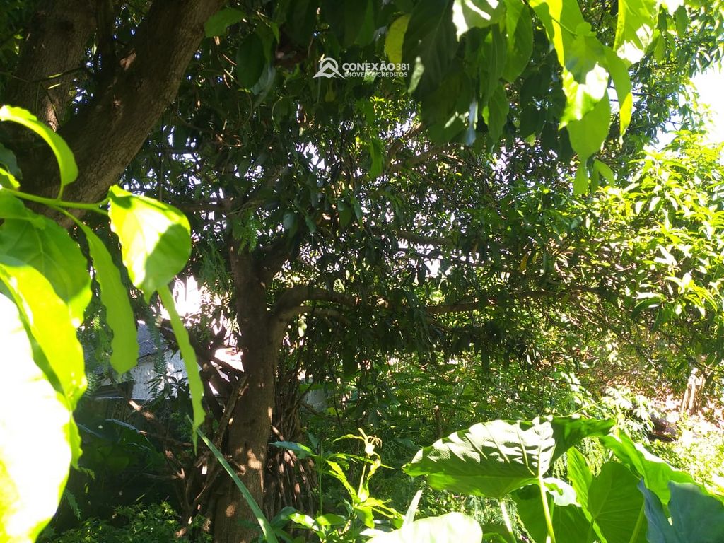 Casa para vender em Cambuí, MG — foto 5