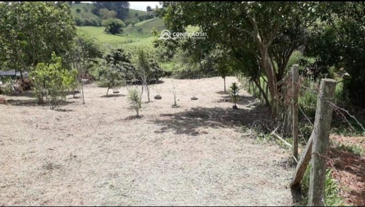 Terreno Rural à venda em Cambuí/MG — foto 5