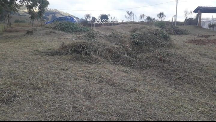 Terreno Rural à venda em Cambuí/MG — foto 4