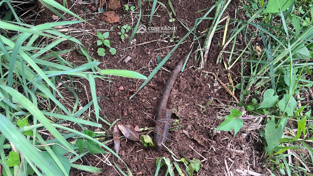 Terreno Rural à venda em Cambuí, MG — foto 5