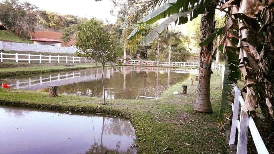 Chácara à venda em Cambuí, MG — foto 4