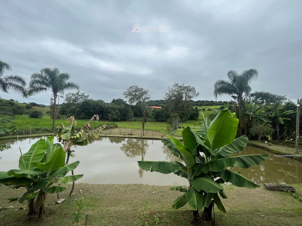Chácara à venda em Cambuí, MG — foto 28