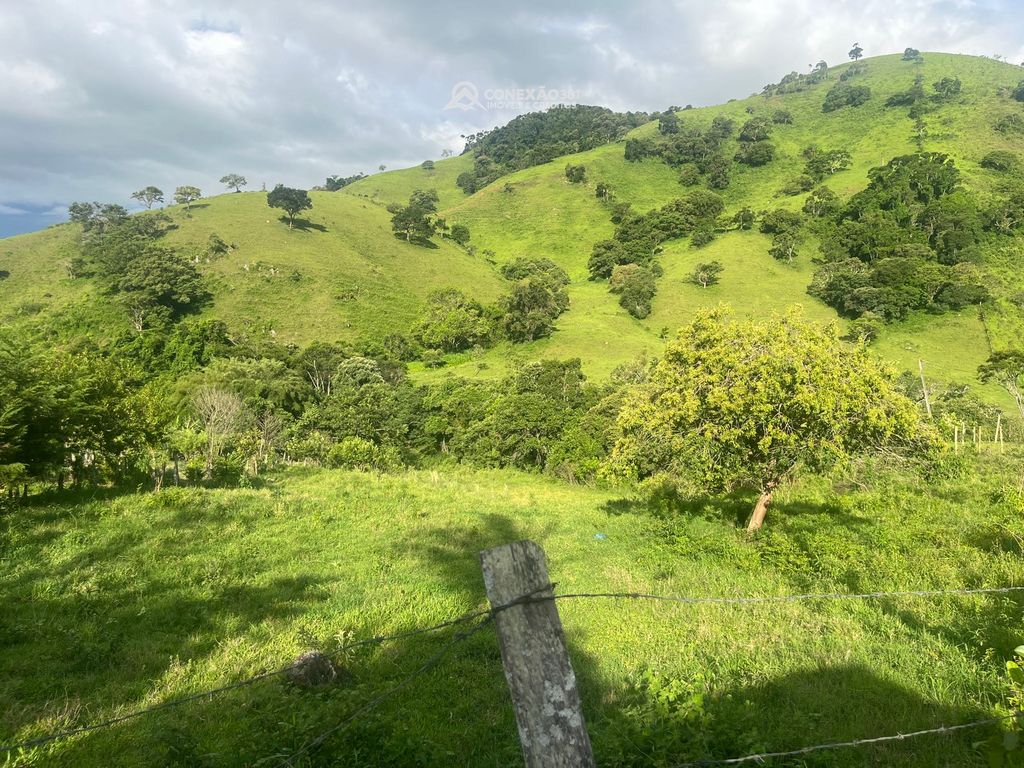 Terreno rural à venda em Cambuí, MG — foto 7