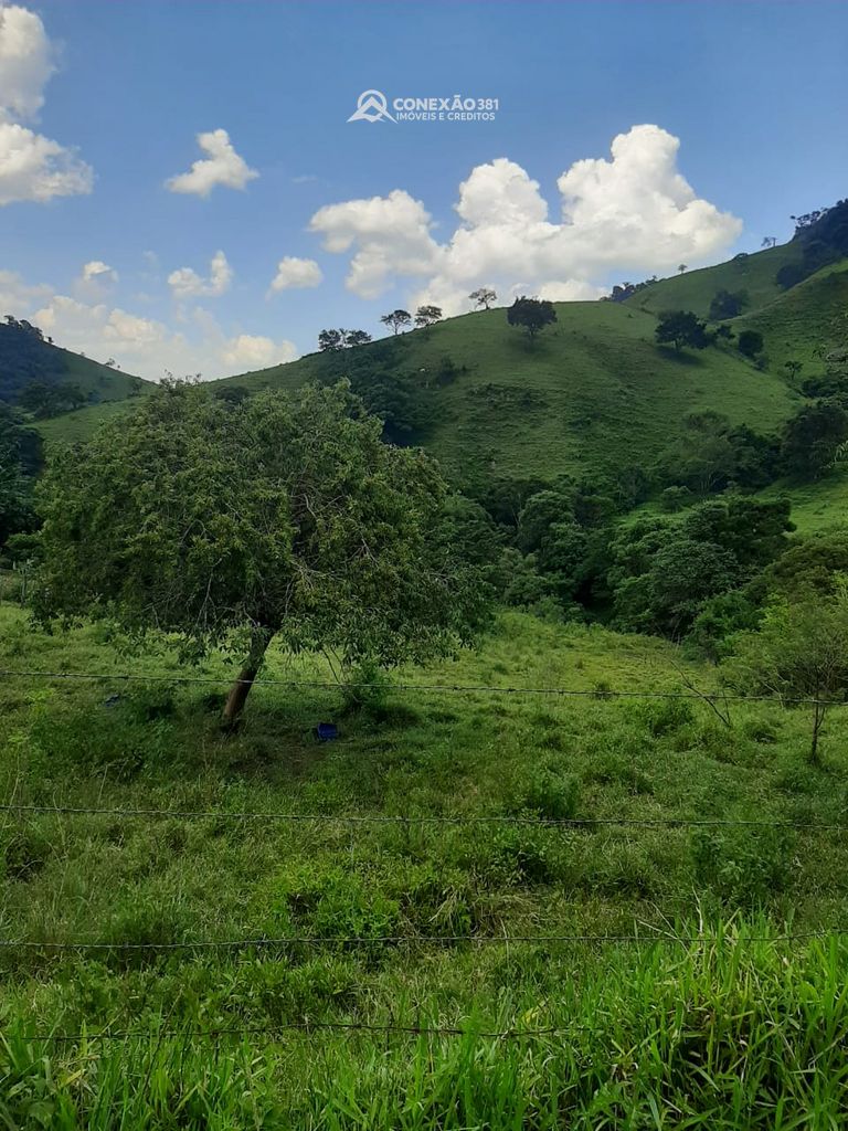 Terreno rural à venda em Cambuí, MG — foto 14