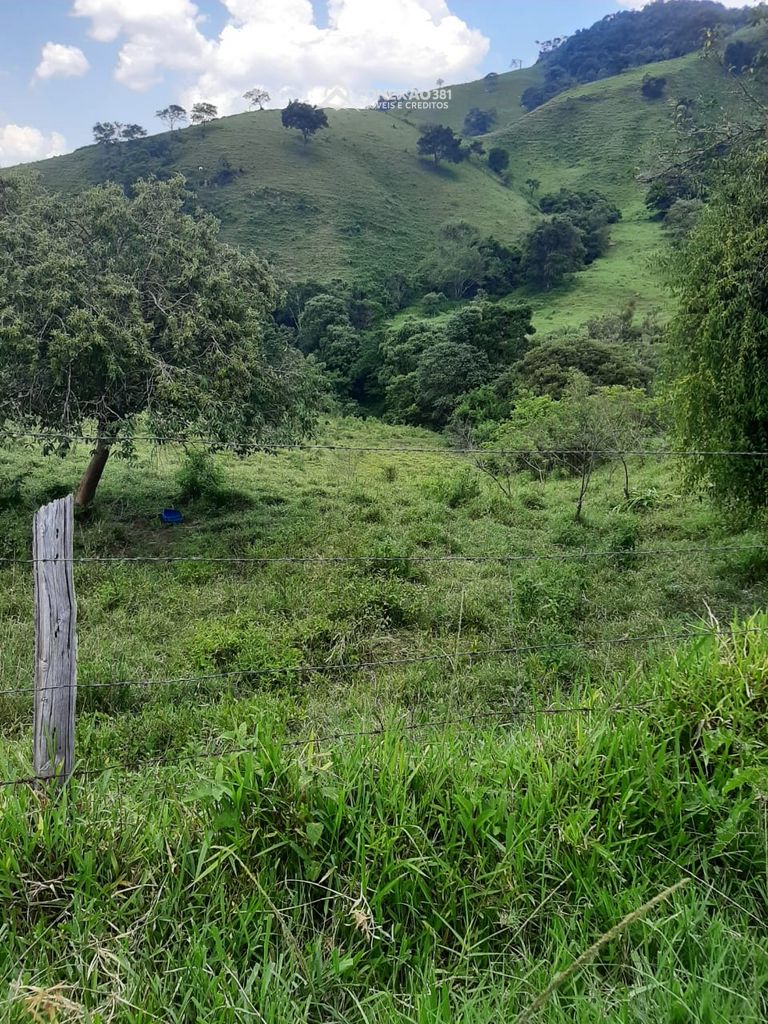 Terreno rural à venda em Cambuí, MG — foto 19