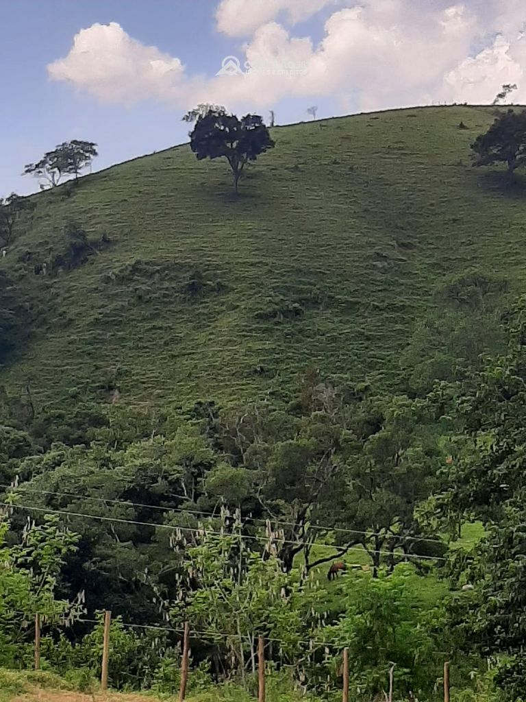 Terreno rural à venda em Cambuí, MG — foto 21