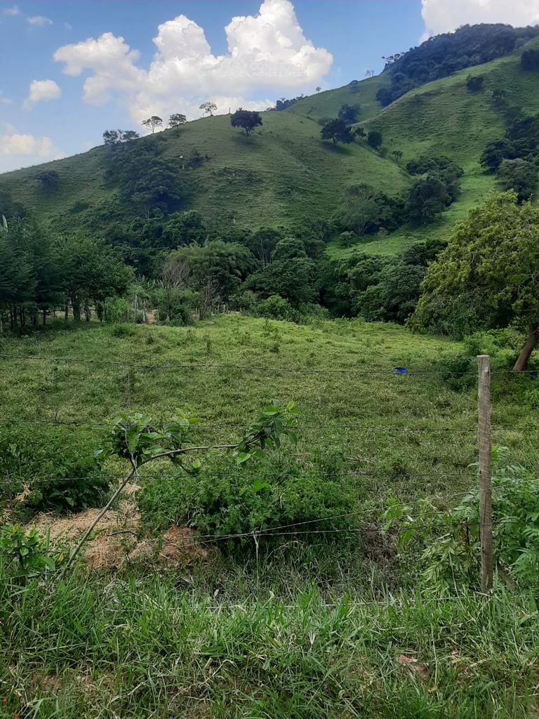 Terreno rural à venda em Cambuí, MG — foto 22