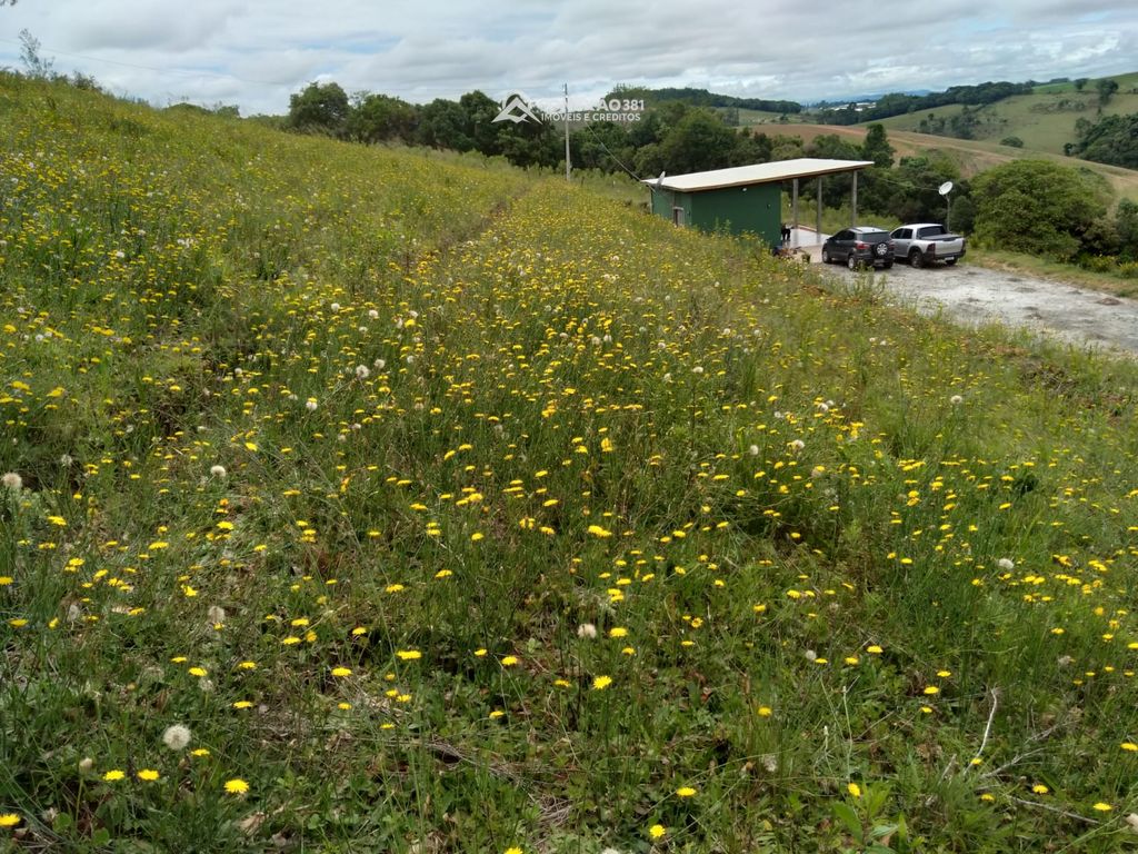 Fazendo à venda no Sul de Minas – MG 8331 — foto 12