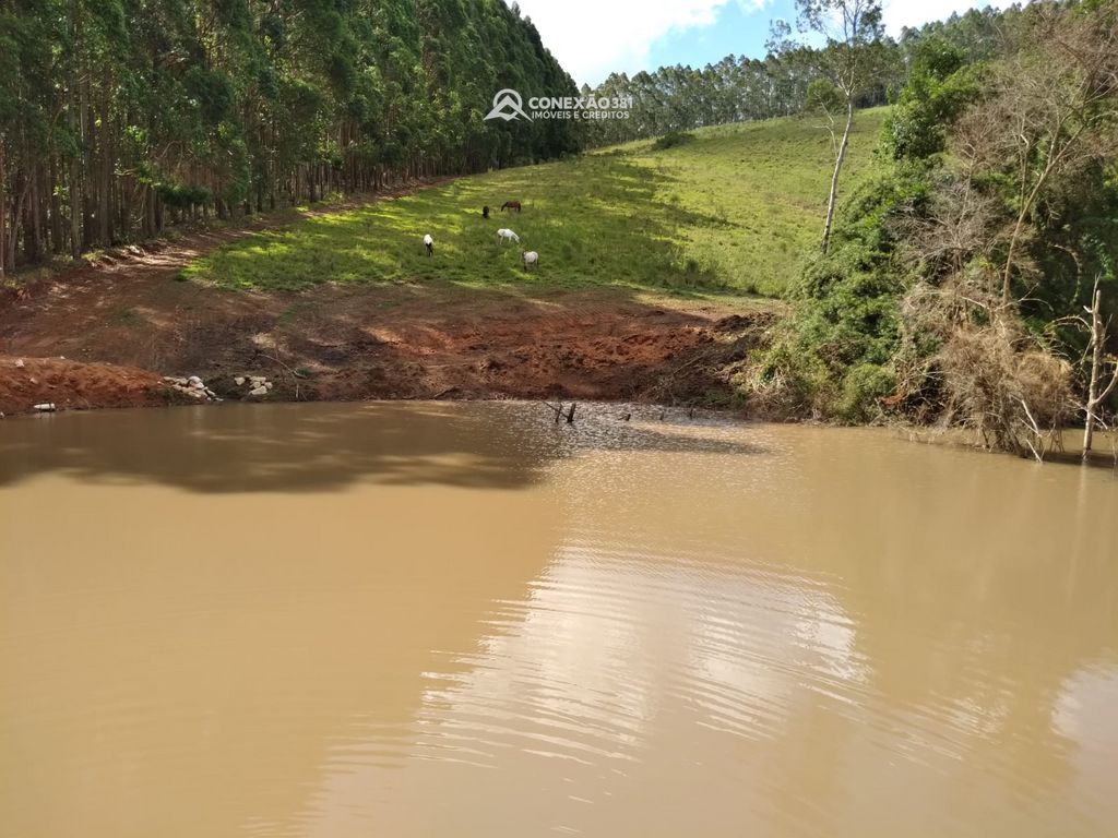 Fazendo à venda no Sul de Minas – MG 8331 — foto 14
