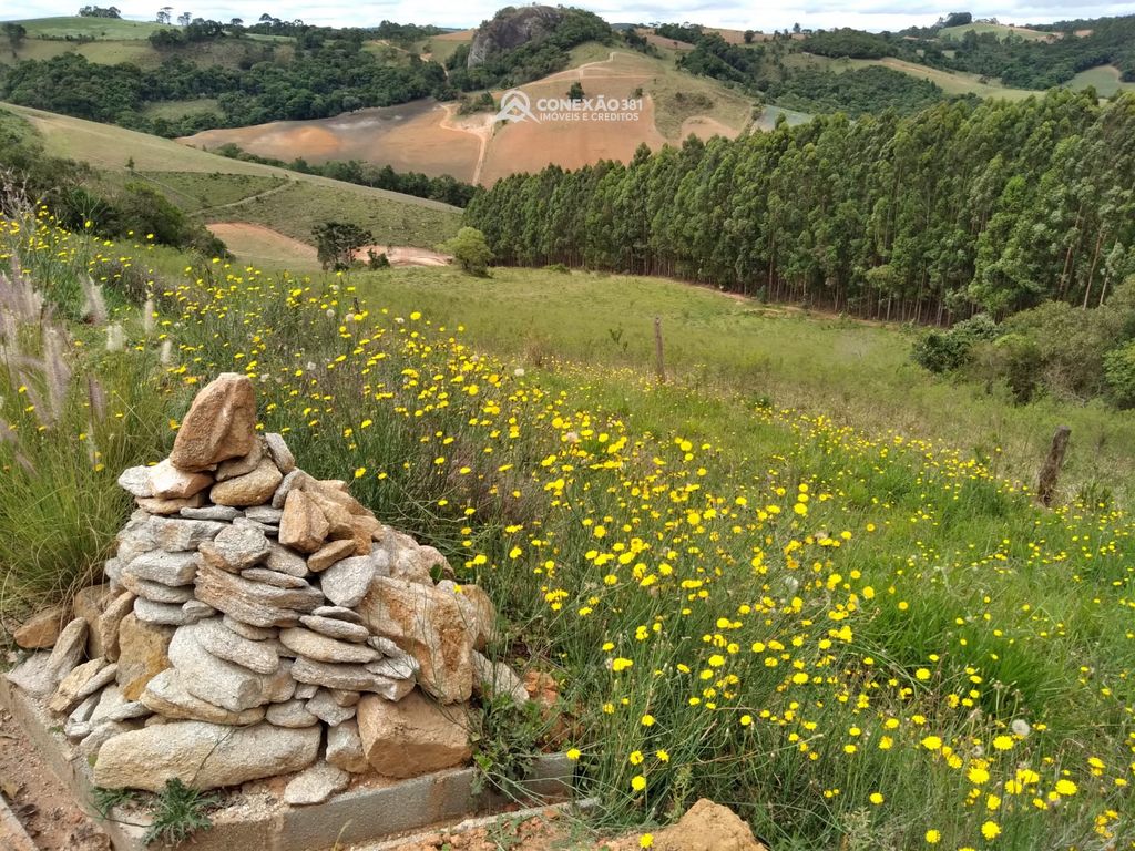 Fazendo à venda no Sul de Minas – MG 8331 — foto 17