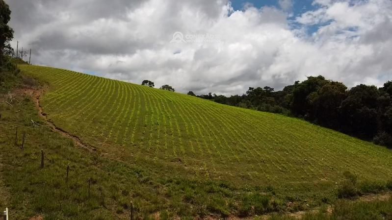 Fazendo à venda no Sul de Minas – MG 8331 — foto 20