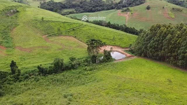 Fazendo à venda no Sul de Minas – MG 8331 — foto 25