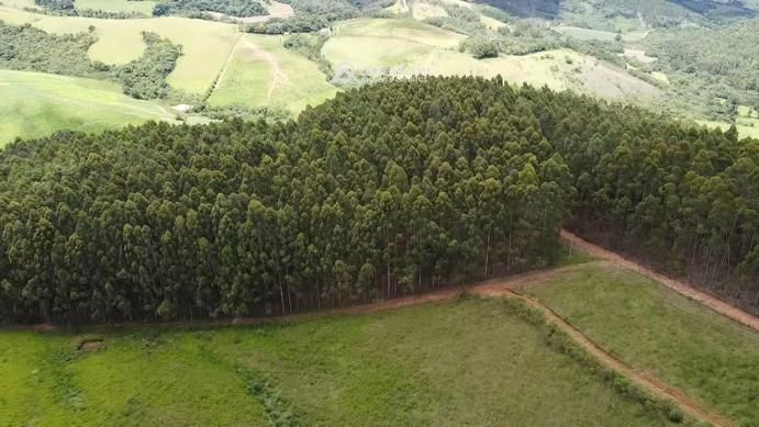 Fazendo à venda no Sul de Minas – MG 8331 — foto 24
