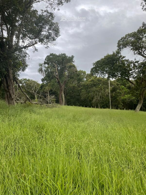 Terreno à venda em Cambuí, MG — foto 4
